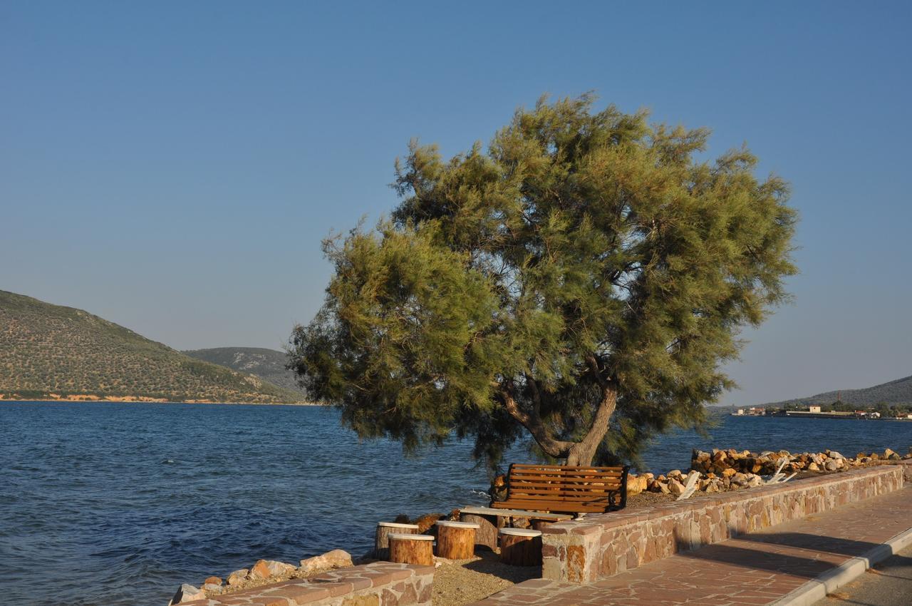 Ariadnes Holiday Accommodation Apidias Lakos Екстериор снимка