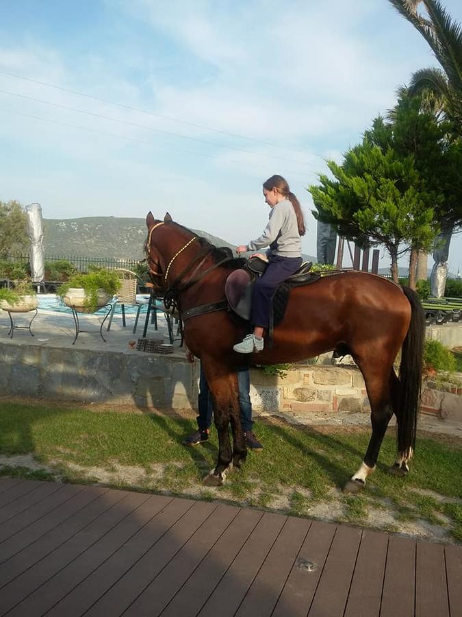Ariadnes Holiday Accommodation Apidias Lakos Екстериор снимка